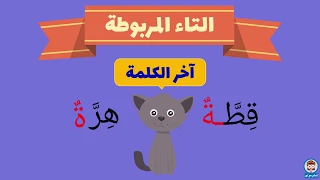 الفرق بين التاء المربوطة والتاء المفتوحة والهاء Arabic For Kids 
