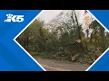 Power outages and school closures in Pierce County