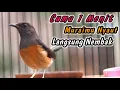 Download Lagu PENGGACOR MURAI BATU PASTOL AMPUH BIKIN RESPON GACOR‼️KRETEKAN KERAS MURAI BETINA PENGGACOR JANTAN