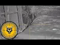 Download Lagu “Backyard Ratting Gone Crazy – Rat Kill Mayhem!” | Farm Rat Shooting | The Rat Slayer