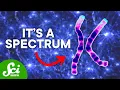 Science Proves There are More than Two Human Sexes