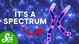 science proves there are more than two human sexes