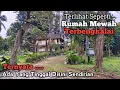 Download Lagu Terlihat Seperti Rumah Mewah Kosong Terbengkalai Ternyata Ada Yang Tinggal Sendirian Disini