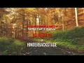 Sia "UNSTOPPABLE" Cover&Lirik {Cover By No Resolve & HinderBackstage}