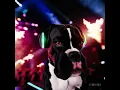 Download Lagu „DJ boxer dog“ #music #remix #electronicmusic #dj #edm #retro #love #dog