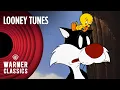 Looney Tunes | Tweety and Sylvester Mega Compilation | Warner Classics