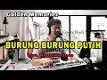Download Lagu Live _BURUNG BURUNG PUTIH ( Christin Panjaitan) Cover Budi Sinaga