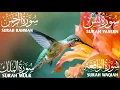 Download Lagu Full Soul Touching recitation Surah Yasin 🧡Surah Rahman 🧡Surah Waqiah🧡Surah Mulk #nature Episode462