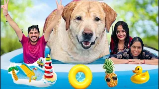 LIVING IN POOL FOR 24 HOURS CHALLENGE WITH GAPUDI | SourShy