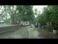 NO ADS | Heavy Rain Walks Compilation for Sleep and Yoga | Village Rain Walks