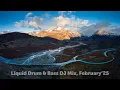 Download Lagu Liquid Drum \u0026 Bass DJ Mix, February'25