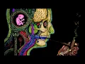 Download Lagu Progressive Psytrance Mix (Welcome to my Mind) by Psydrop