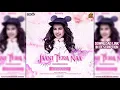 Download Lagu Jaani Tera Naa (Remix) DJ Scoob