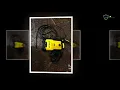 Stanley SHP2000 Electric Power Washer Review
