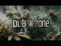 NEW Dub Reggae Mix / BEST Reggae Roots / REGGAE DUB best selection