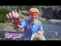 Blippi Spends the Day with Insects at the Zoo! | BEST OF BLIPPI TOYS!