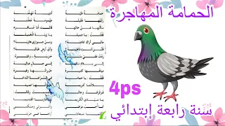 محفوظة الحمامة المهاجرة لسنة الرابعة ابتدائي الفصل الثالث بدون موسيقى  حمامة طيبة اديبة مهذبة دندنها