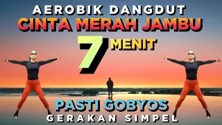 aerobic dangdut remix dj cinta merah jambu simpel mudah diikuti choreo irna chendani