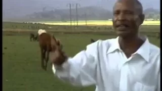 Fandishe Mullata Oromo Music Sumaani Booya  Fandishe Mullata Oromo Music Sumaani Booya