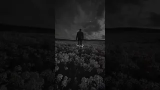 طال الغياب وهواك غلاب عشمان في ضي عينيك 