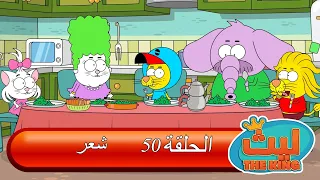 ليث ذا كينغ   الحلقة ٥٠   مدبلج بالعربية    الأنمي التركي دندنها