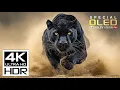 Lagu Unbelievable Video 4K HDR ULTRA HD 120 fps | Dolby Vision (8K/4K Video TV)