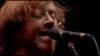 Phish- Waste