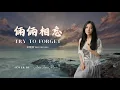 Winnie Hsin - Try to Forget | The Heaven Sword and Dragon Saber Cover