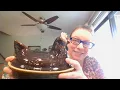 Pfaltzgraff Brown Drip Glaze Collection Hen on Nest Planter Bowl Pitcher 21