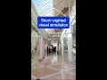 Short sighted visual simulation