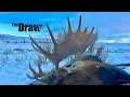 Alaska Muzzleloader Moose Hunt