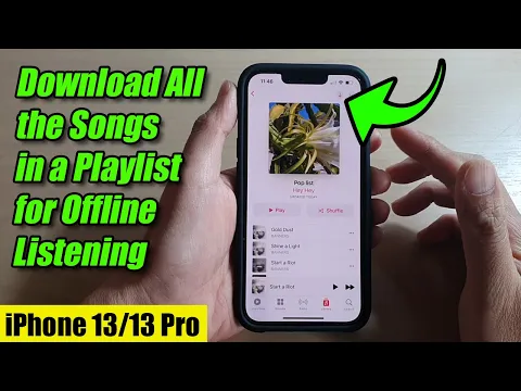 Download MP3 iPhone 13/13 Pro: How to Download All the Songs in a Playlist for Offline Listening