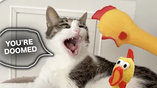 Cat’s Reaction To Screaming Chicken! Part 2