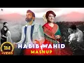 Download Lagu Ami Tomar Moner Vitor - Mashup | Habib Wahid | Nancy | Bangla New Song | 2024