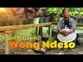 Lagu SONY JOSS - WONG NDESO (COVER KIRWAN GL)