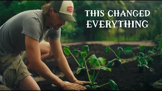 I Tried To Grow My Own Food For The First Time