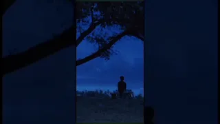 حين يقترب الموت لا نندم على ما فاتنا بل نبتسم بحزن للذكريات التي كانت يوم ا حياة 