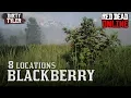 Blackberry RDR2 Locations in Red Dead Online for Daily Challenges RDR2