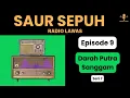 Download Lagu SAUR SEPUH - Darah Putra Sanggam Episode 9 [Seri 7] [Sandiwara Radio]