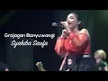 Download Lagu Syahiba Saufa - Grajagan Banyuwangi Performance