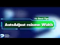 Auto Adjust Column Width in Excel Using VBA Quick Easy Method