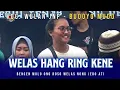 Download Lagu WELAS HANG RING KENE | Voc. Wulan JNP Versi Jandut BUDOYO MUDO Shafira Audio Live Payaman 2022