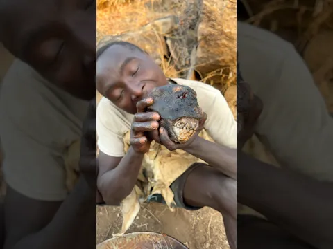 Hunters special meal #hunters #wildlife #trythatinasmalltown #animals #africa #comedy
