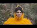 Download Lagu The Head and the Heart - Honeybee [Official Music Video]