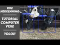 Lagu Tutorial Computervisie: Objectherkenning met YOLOv11 (Gratis!)