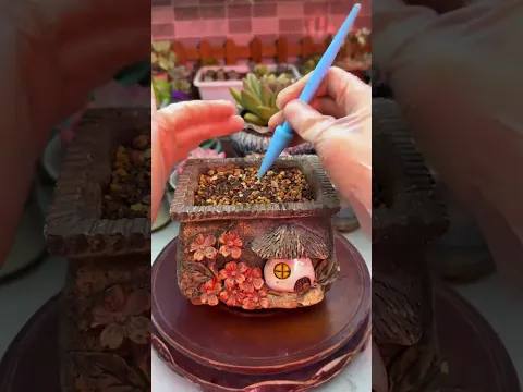 How to Repot Succulents: Beginner's Easy Step-by-Step Guide!