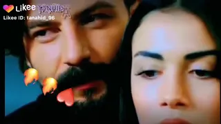 غالي رايفنا 