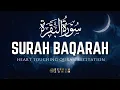 Lagu Surah Al Baqarah Full سورة البقره | Relaxing wonderful heart touching voice | Ahmad Al Shalabi