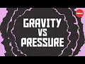 Gravity vs Pressure The battle that formed the universe - Fabio Pacucci