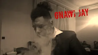 Gnawi JAY 